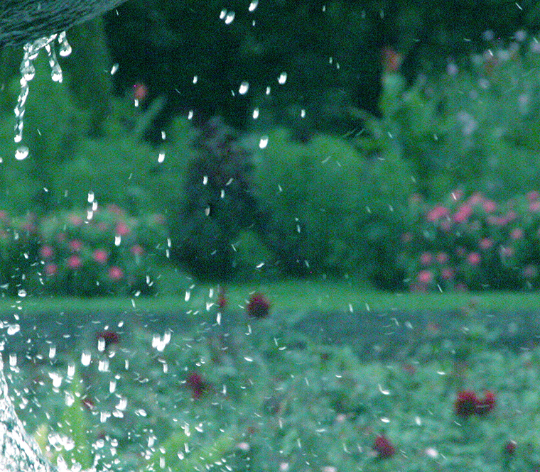 WinterGarden (i)
